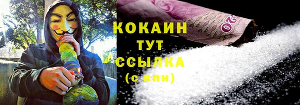 тгк Алексин