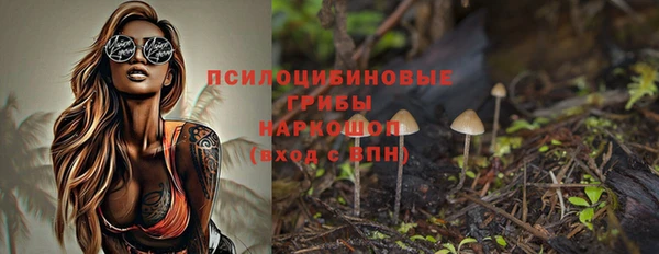 тгк Алексин
