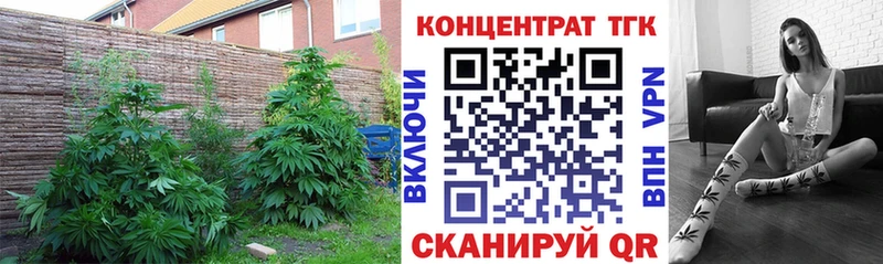 хочу   Дыгулыбгей  ТГК концентрат 