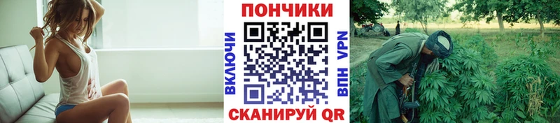 Канабис Amnesia  Дыгулыбгей 